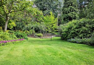 Optimiser l'expérience du jardin à Heiligenstein